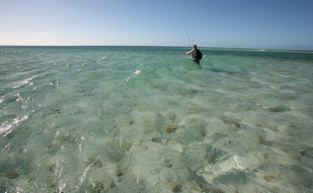 OPINION: No Compromise